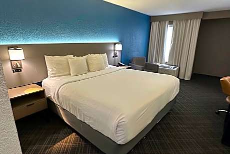 1 King Bed, Nonsmoking