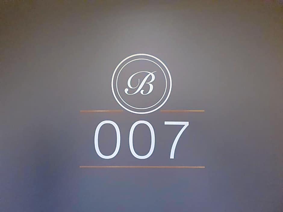 Boutique Hotel Bellevue Rheinfelden / Basel