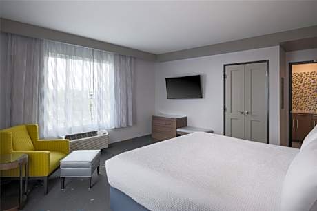 King Suite with Sofa Bed and Wet Bar