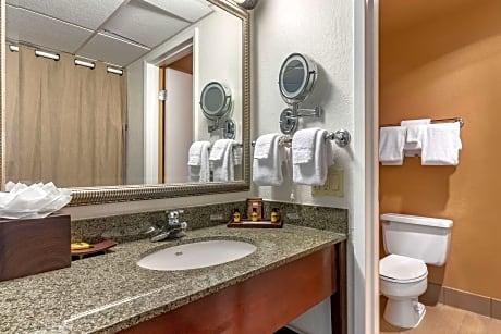 Suite-1 King Bed, Non-Smoking, Two Rooms, Two Bathrooms, Wet Bar, Sofabed, Microwave And Refrigerator, Full Breakfast