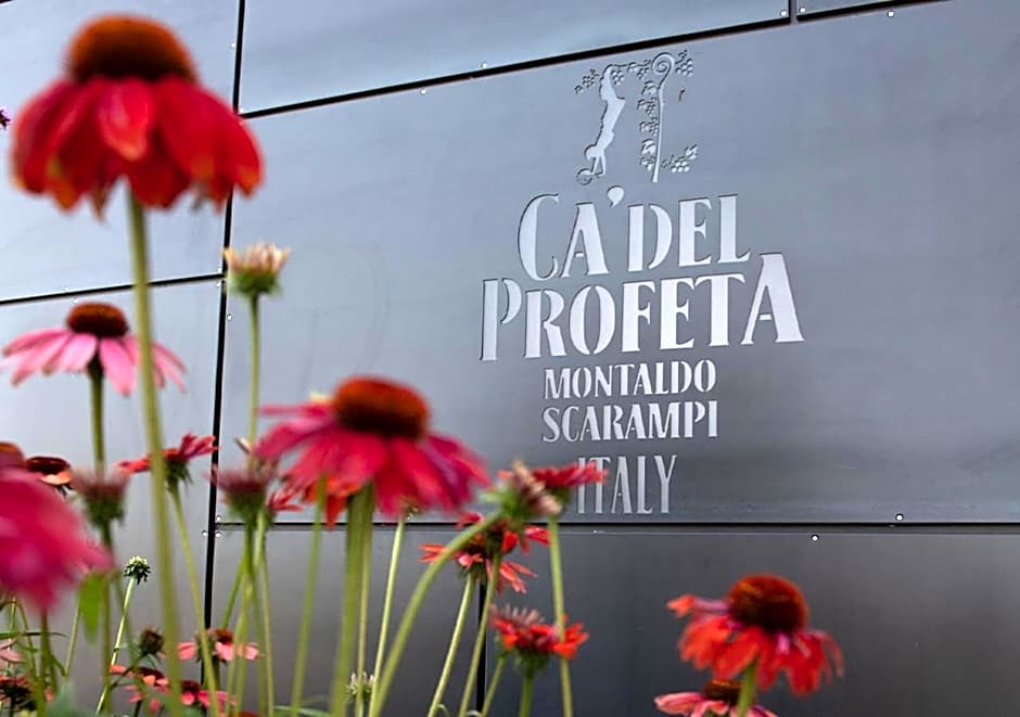 Ca' del Profeta Suites