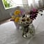 Fedaia Joy B&B