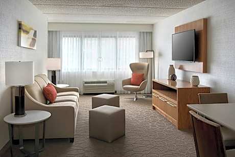 1 Bedroom Suite, 1 King, Sofa bed