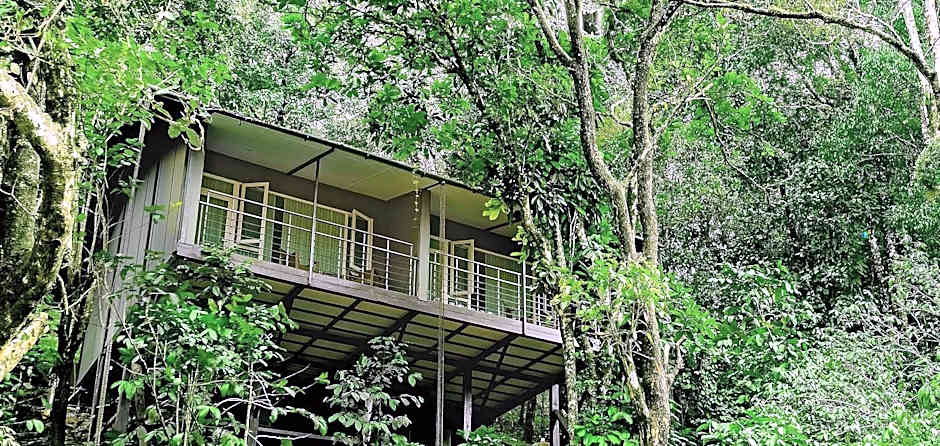 Wayanad Wild  Rainforest Lodge by CGH Earth
