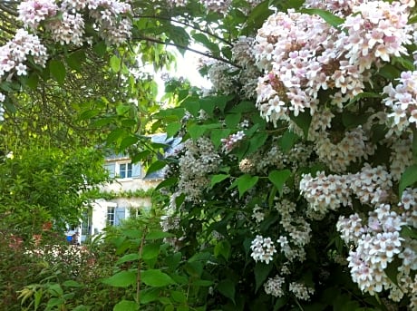 La Butte de Gohier