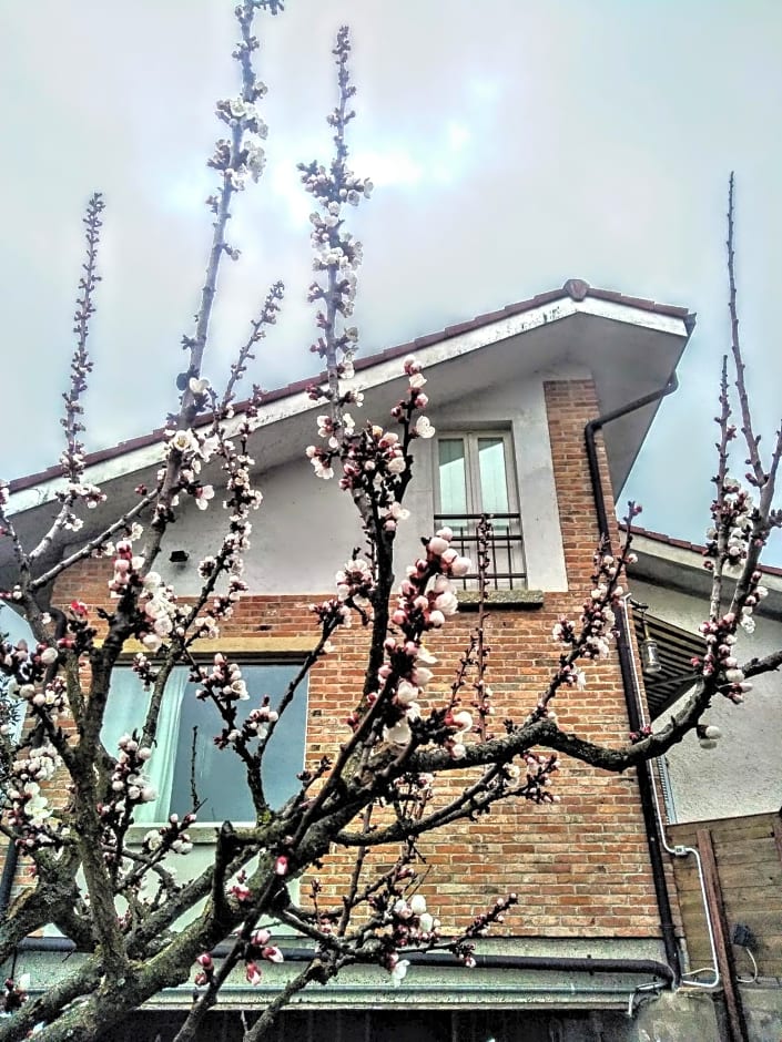 Bella Gavi - natura e relax