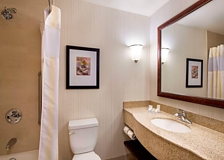 2 Queen Beds Accessible Room