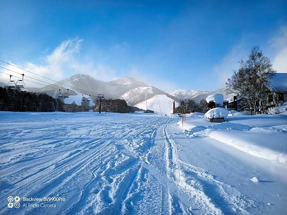 HA-MON Slope Side Hotel and Private Chalet