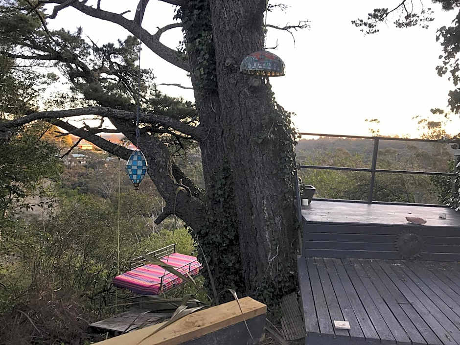 Flying Fox Backpackers