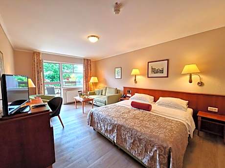 Deluxe Plus Room