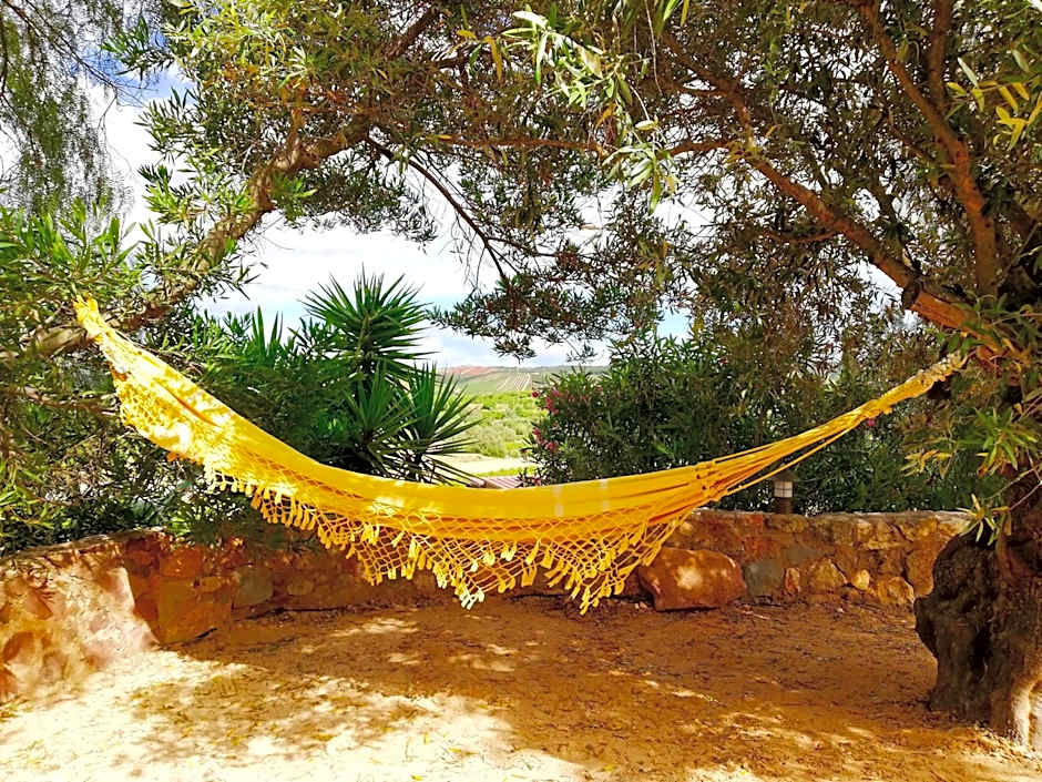 Gato Preto de Silves - Adults Only