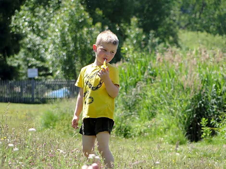 Ehrenmättlehof Faißt