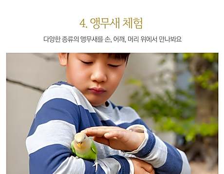 Tongyoung heuknaeum glamping