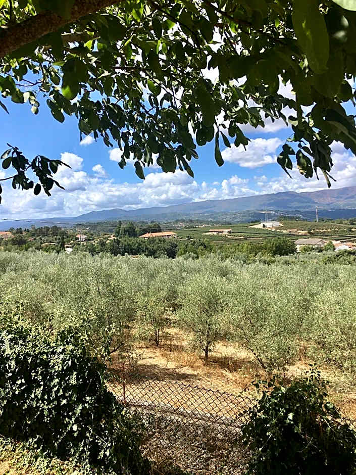 The Hideaway at Quinta de Moçamedes - Suites & Apartments