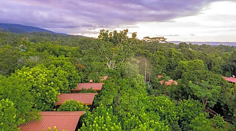 Hotel Heliconias Nature Inn & Hot Springs