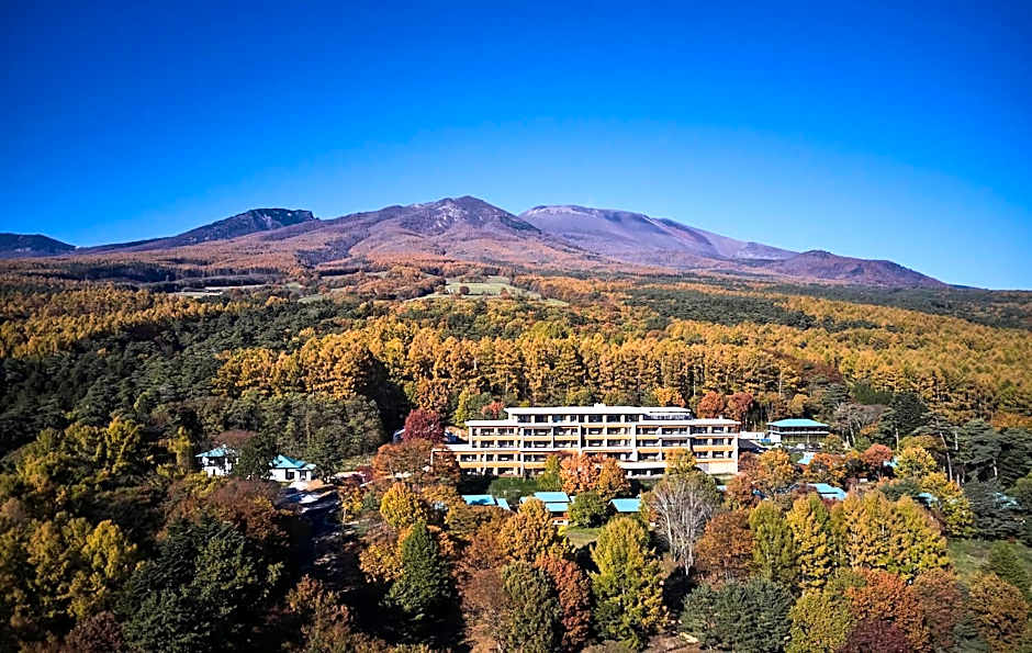 THE HIRAMATSU KARUIZAWA MIYOTA