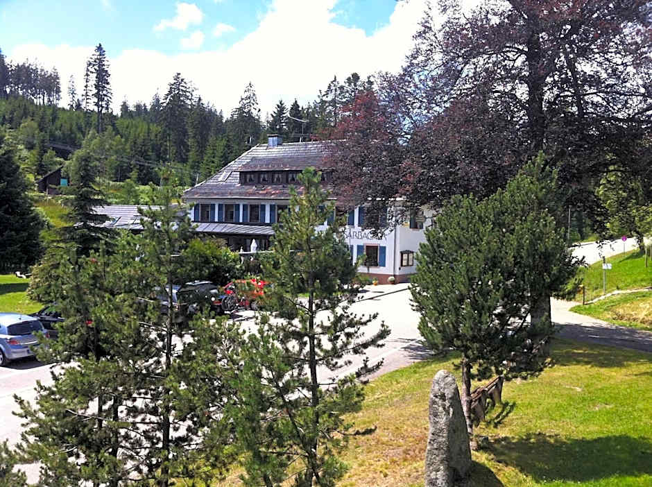 Hotel Sarbacher