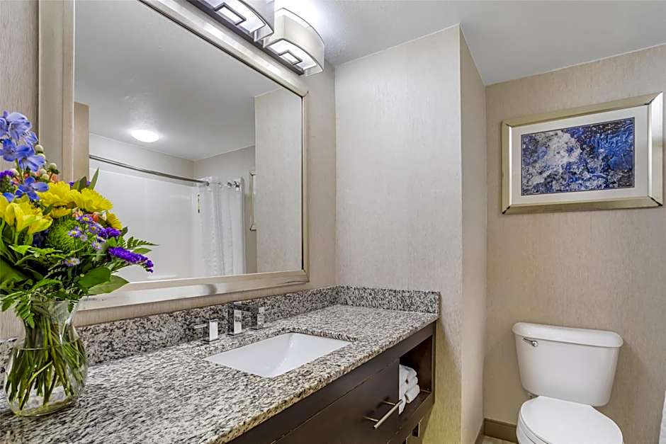 Best Western Plus River Escape Inn & Suites