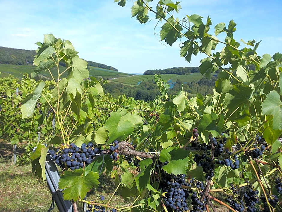 Aparthotel am Kurpark