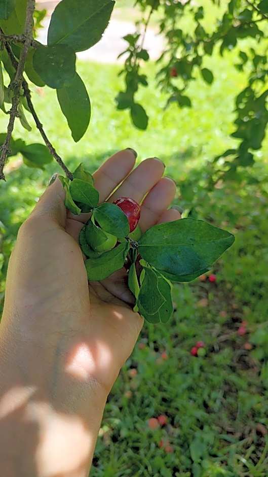 Pousada Campestre Cunha-SP