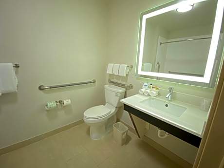 Queen Room - Disability Access Roll in Shower/Non-Smoking