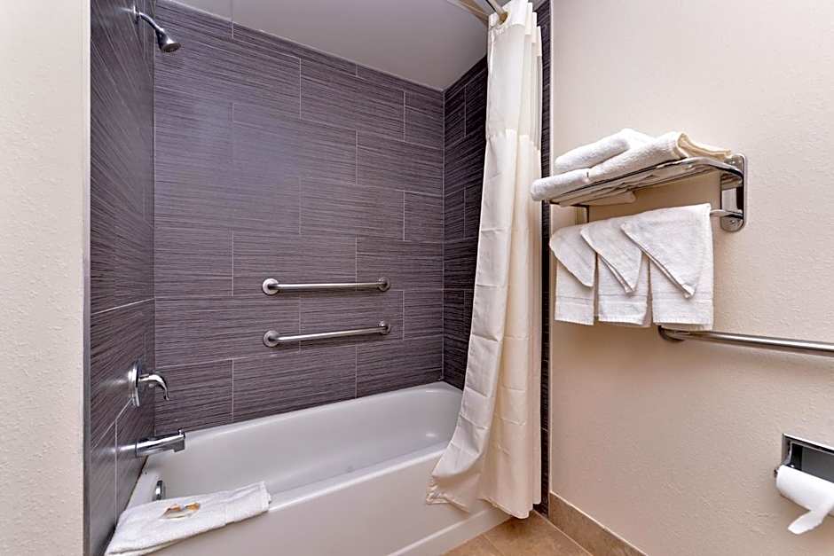 Quality Inn & Suites Matteson near I-57