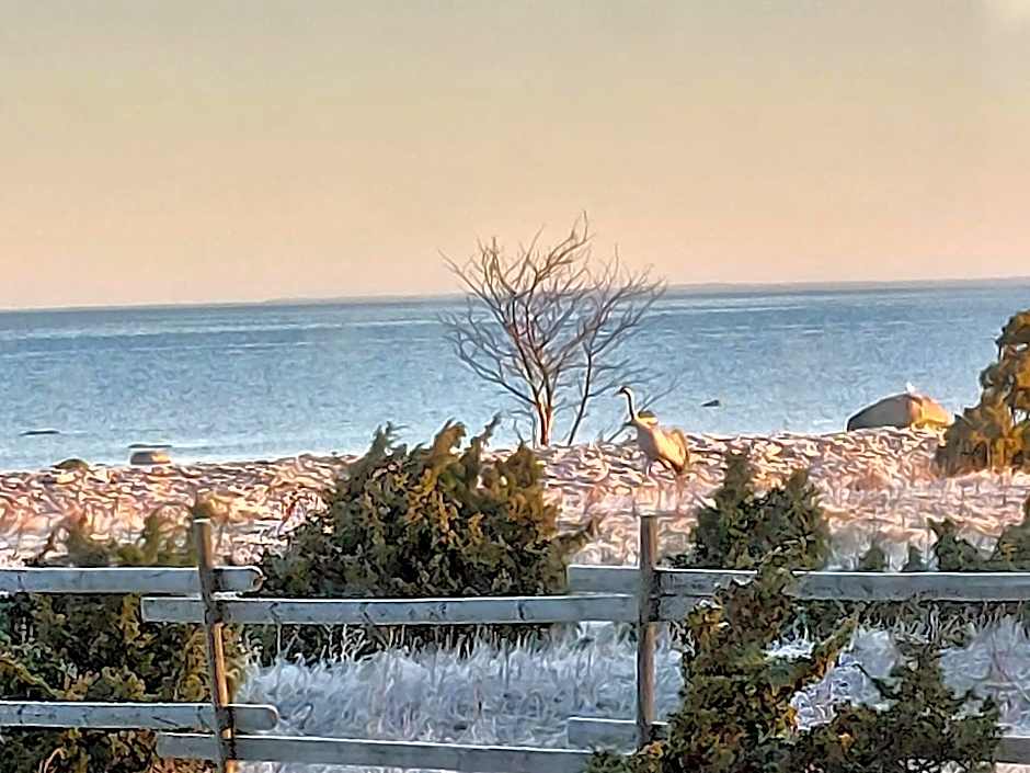 Ohessaare Windmill -Experience accommodation