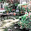 Dinah's Garden Hotel