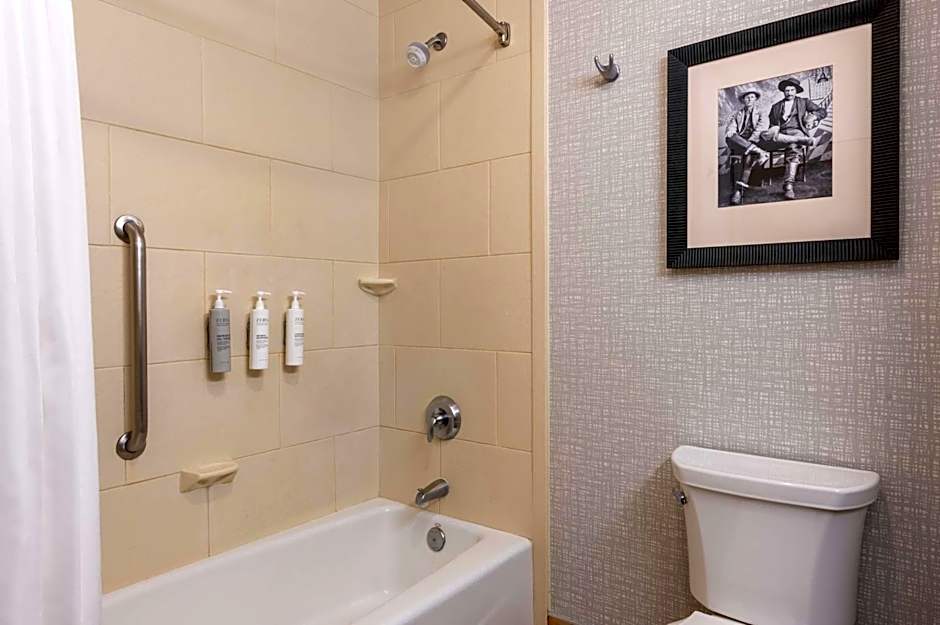 Hampton Inn By Hilton And Suites Dodge City