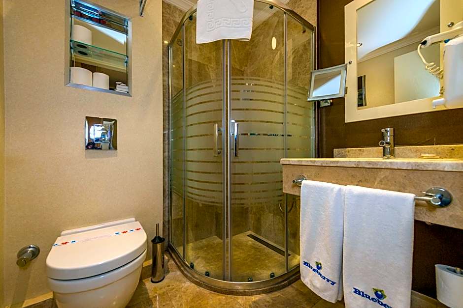 Blueberry Boutique Hotel