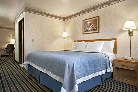 1 King Bed Non-Smoking