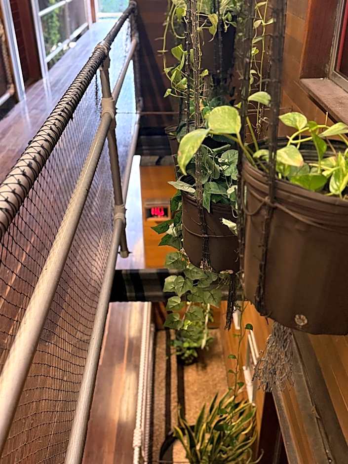 Hotel Kavia 5th Avenida