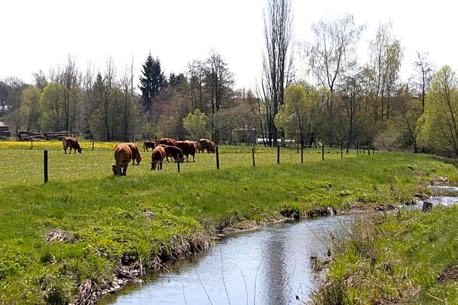 HOTEL SPATZENNEST Vogelsberg