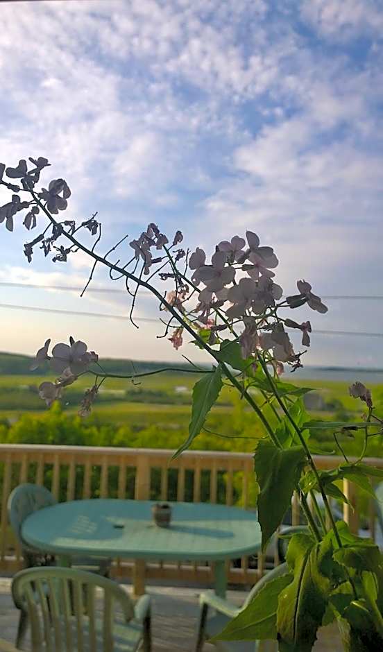 Admiral's Quay Motel & Suites