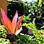 Santa Lucia Guest House