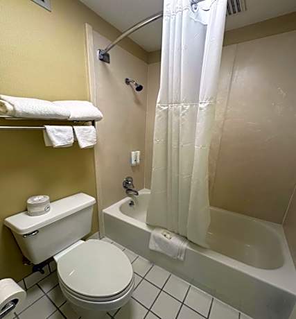 King Room - Non-Smoking