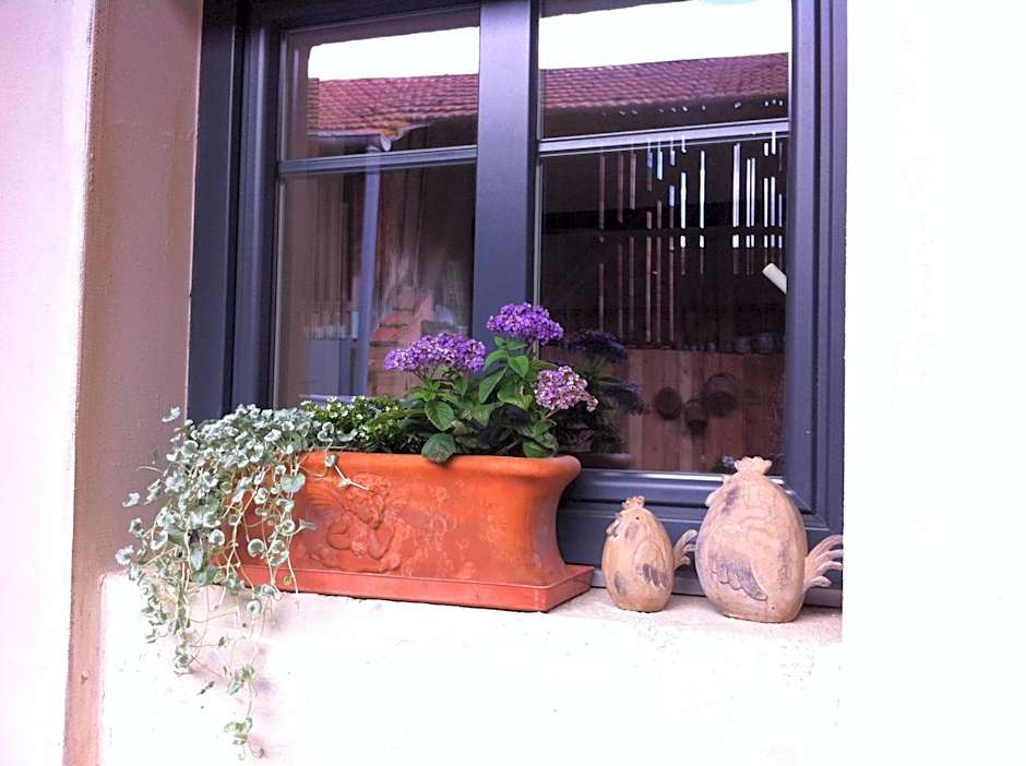 Coté Cour Bischwihr Colmar