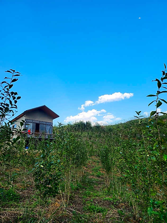 Photo 1 of 22 of The TeaHouse Moc Chau