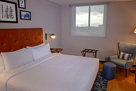 Standard, Guest room, 1 King,  City view