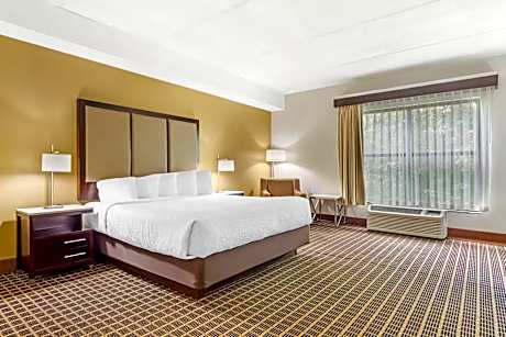 1 King Bed, Non-Smoking