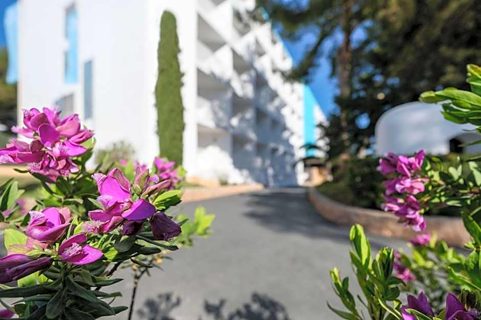 azuLine Hoteles Mar Amantis & II