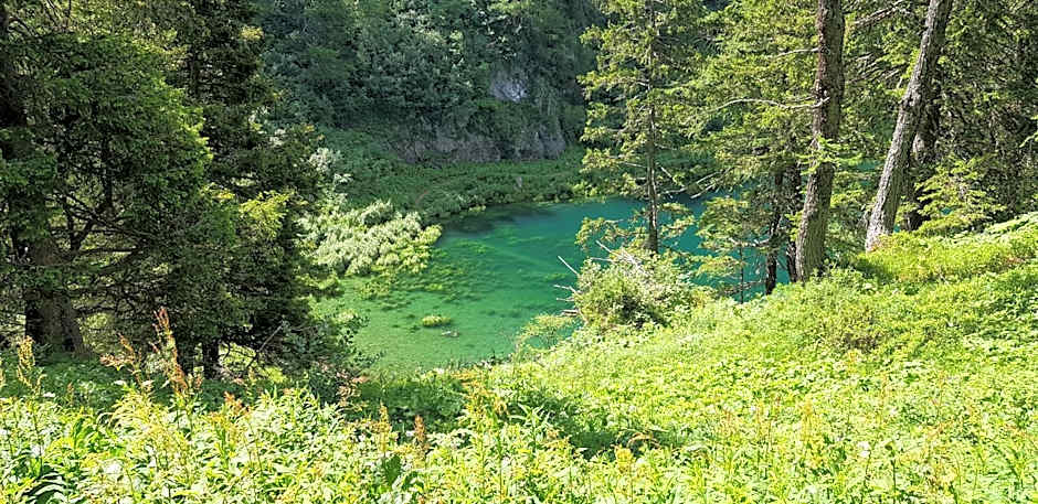 Hotel Des Alpes - Restaurant & Pizzeria