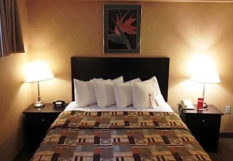 Queen Room with Sofa Bed - Non-Smoking