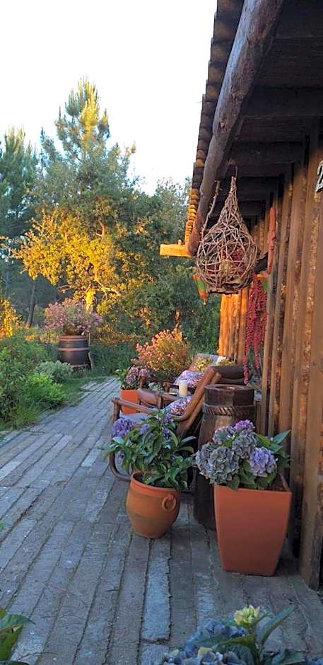 Ying Yang Monte da Lua