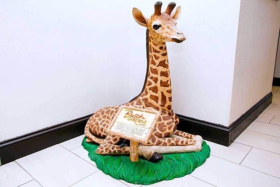 Holiday Inn Express Hotel & Suites Tampa-USF-Busch Gardens By IHG