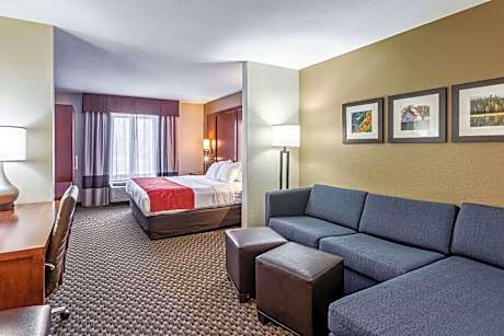 1 King Bed, Suite, Nonsmoking