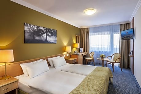 Superior Double Room, 1 King Bed