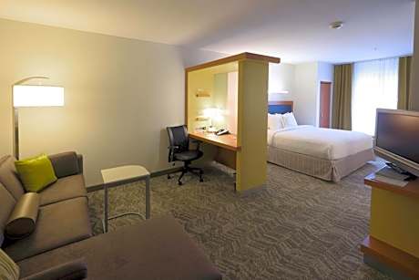 One-Bedroom King Suite with Sofa Bed