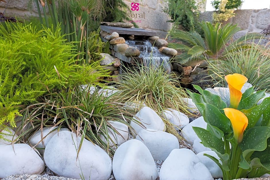 Nuevo Norat Sanxenxo