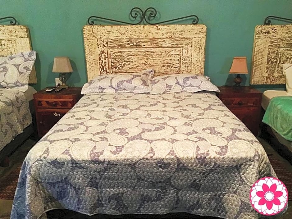 Hostal Doña Carlota Hotel